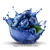 Blue Respberry Margarita
